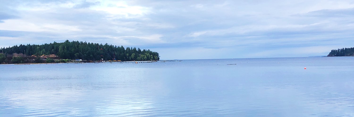 Maddyert's profile banner image