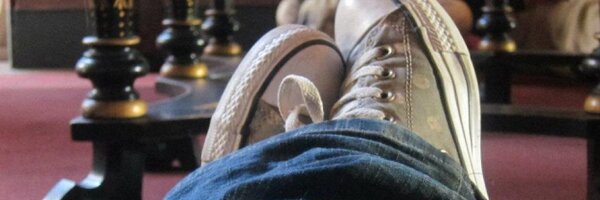 CuratorPolly Profile Banner