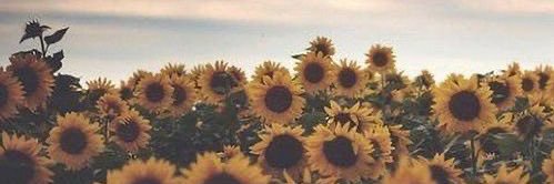 Anouk__xx's profile banner image