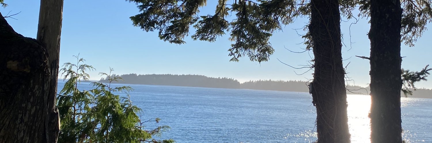 BigFellaBC's profile banner image
