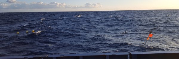 bvanmooy Profile Banner