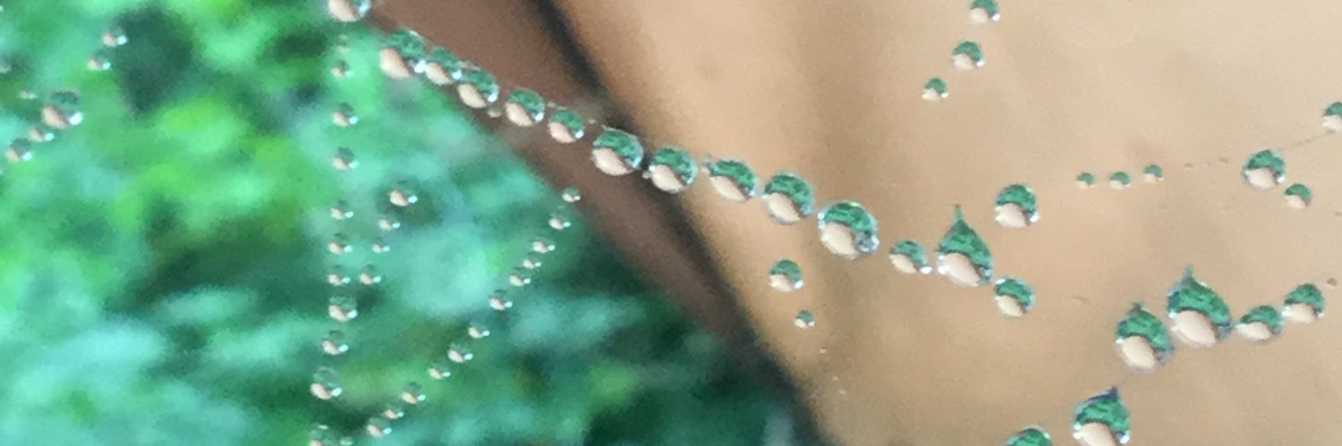 lindalou03's profile banner image