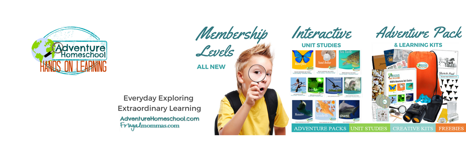 AdventuresHS's profile banner image
