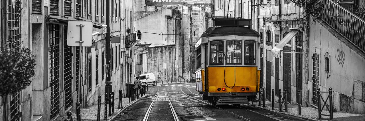 Nuno Rodrigues banner