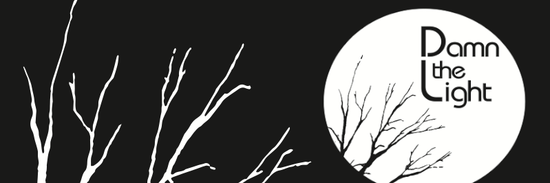 DamnTheLightNYC's profile banner image