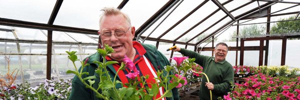 RealLifeOptions Profile Banner