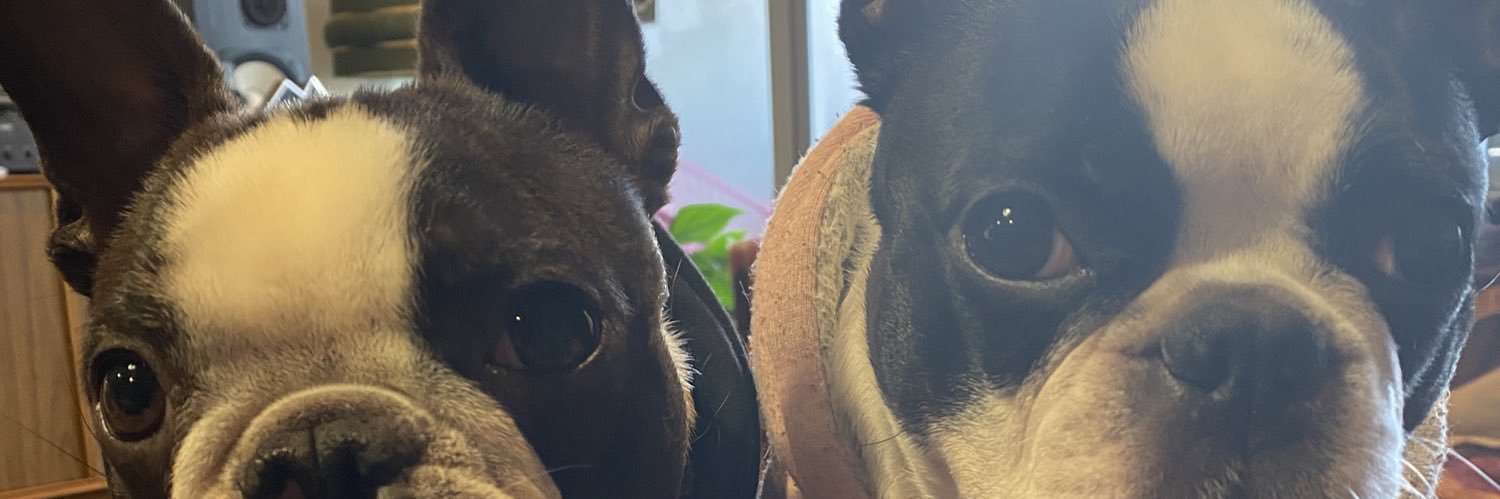 JanineMorcos's profile banner image