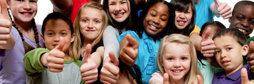 The Budding Foundation banner