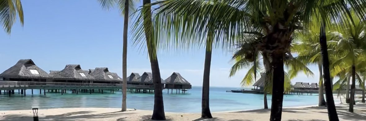 Serg Aspidoff banner