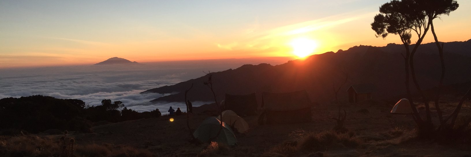 moscato mami 🥂 banner