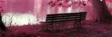 sofi_taaa's profile banner image