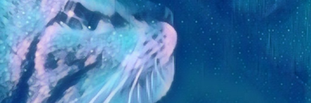 Courtney_Ohara's profile banner image