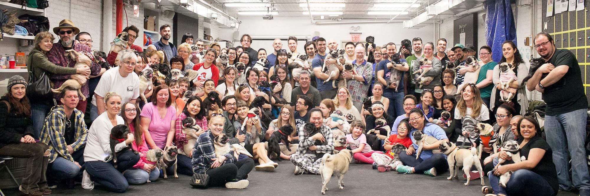 NYCPugMeetup's profile banner image