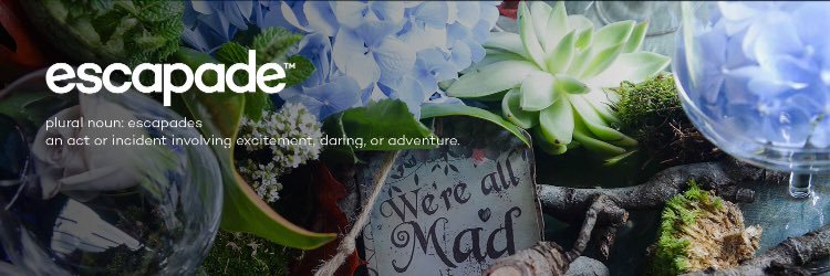 Escapade banner