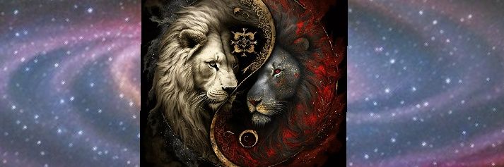 Terry Lee :) 🦁 banner