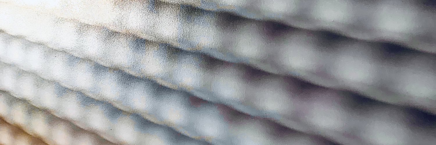 J_Moscardo's profile banner image