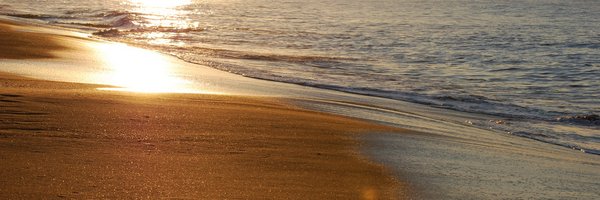 relentles Profile Banner