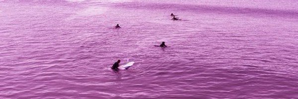 surfacegray Profile Banner