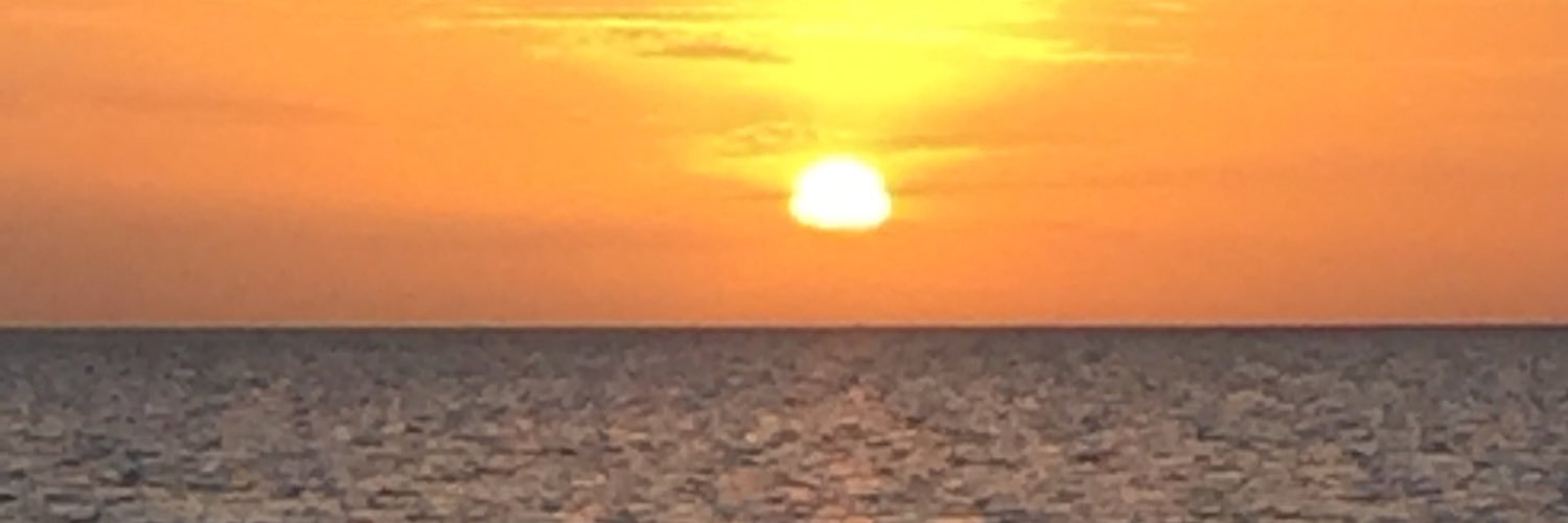 jessn28's profile banner image
