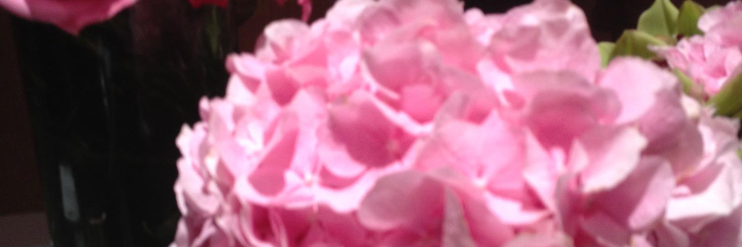 asmayy's profile banner image