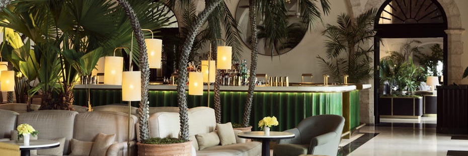 Scott Elchison | Tippier.eth (🍸 ⌐●-● 🍸) banner