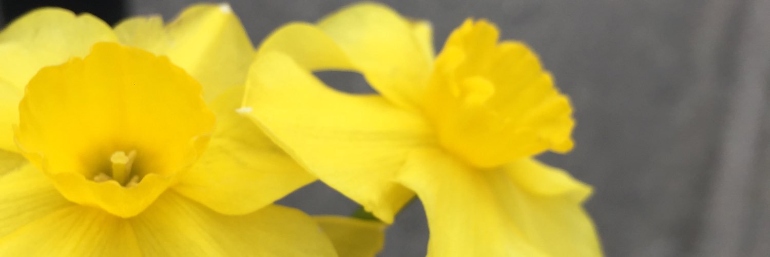 sbb_45's profile banner image