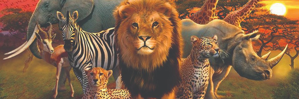keshavjee24's profile banner image
