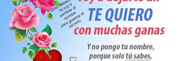 luzinramirez's profile banner image