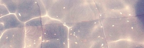 AnnaParas_'s profile banner image