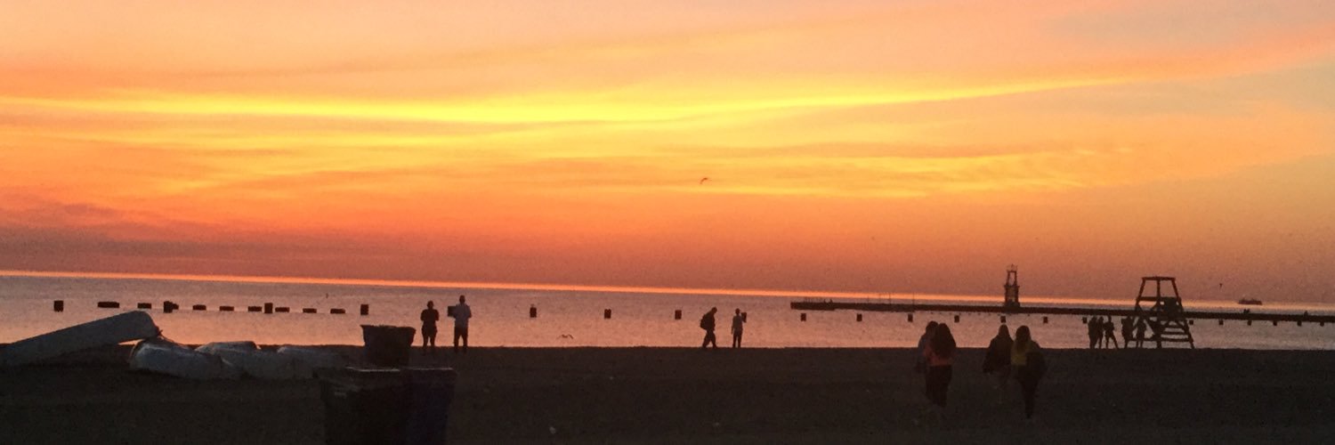 Susan Carlson banner