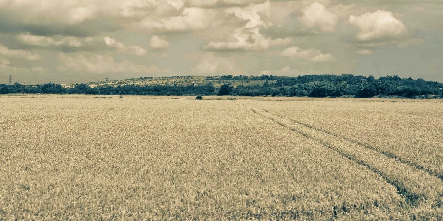 acnorrisuk's profile banner image