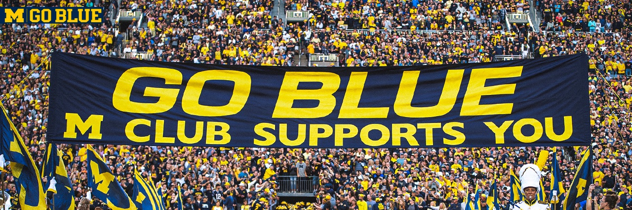 Michigan Sports banner