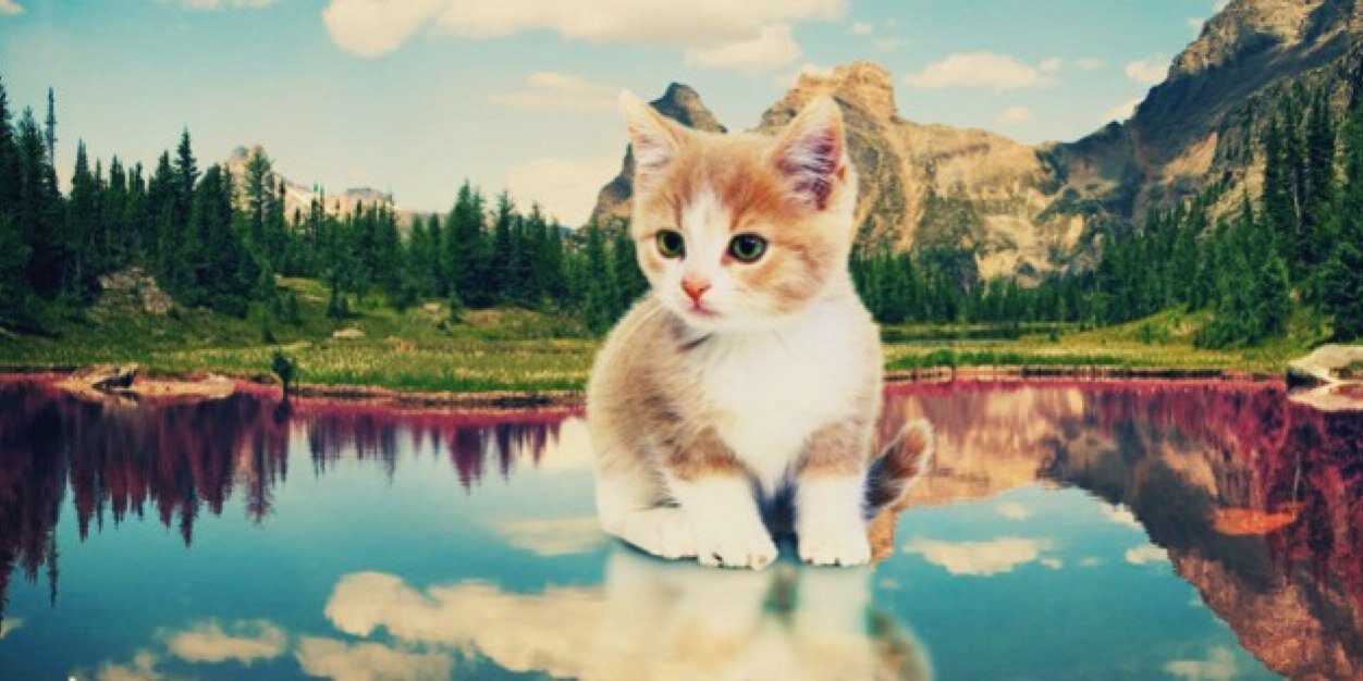 melissayouden's profile banner image