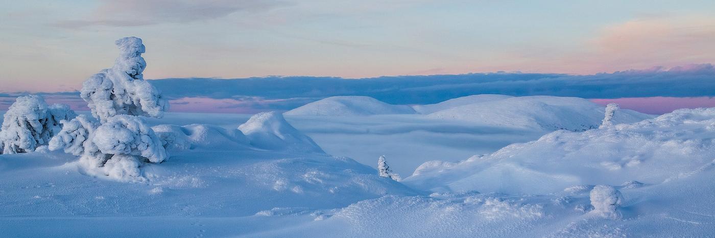 AVLappi's profile banner image
