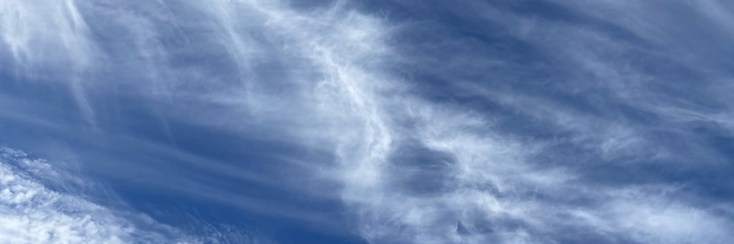 Jenny Palmer banner