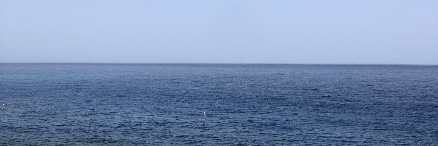 simone_de_santi's profile banner image
