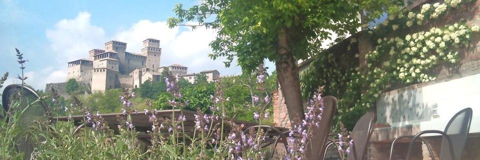 agatacleri's profile banner image