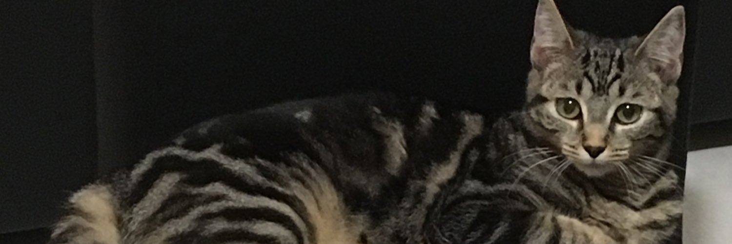 KeepMeCloseToU's profile banner image