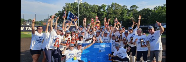TrineSoftball Profile Banner