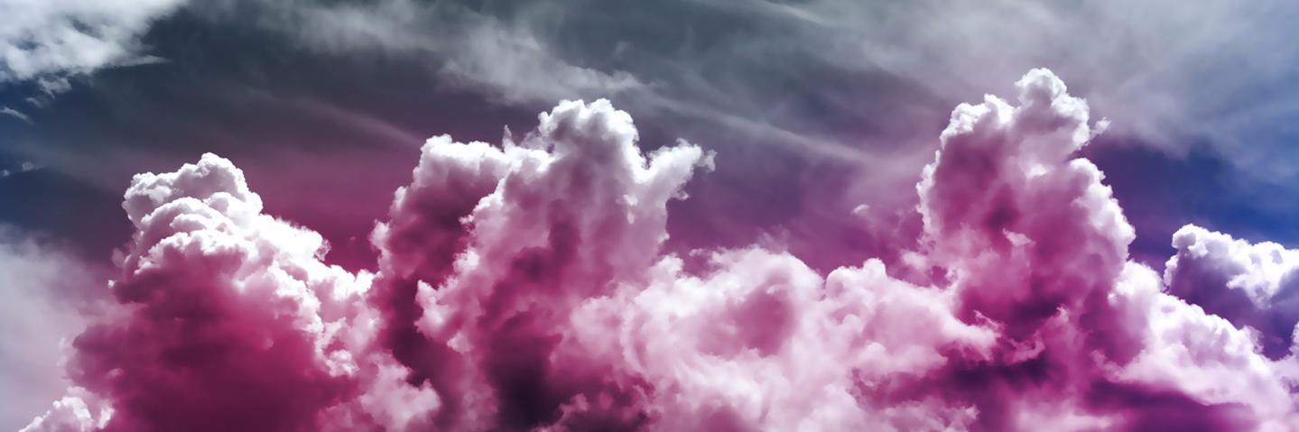 EmilyLny's profile banner image