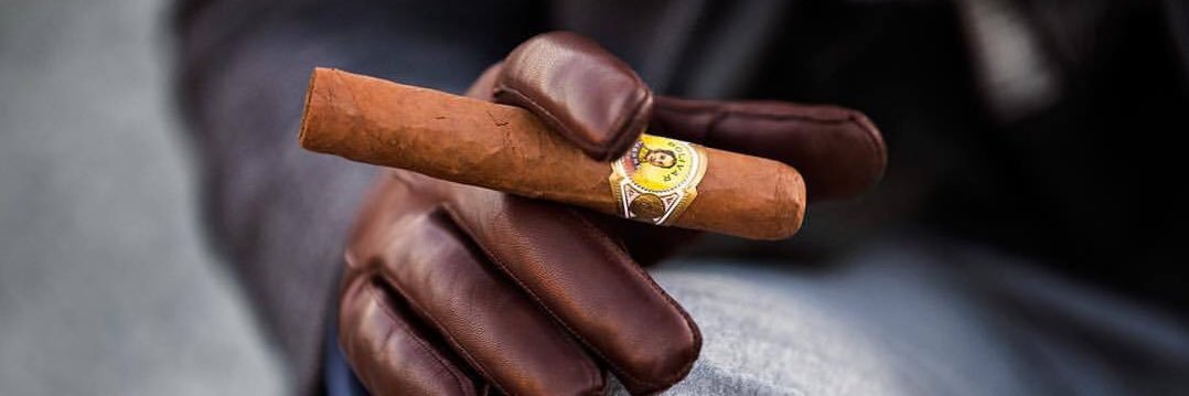LARMOYANTE® banner