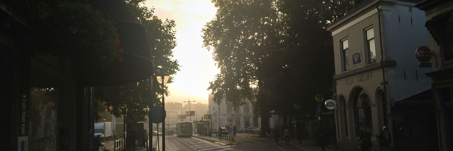 Frank van Mil banner