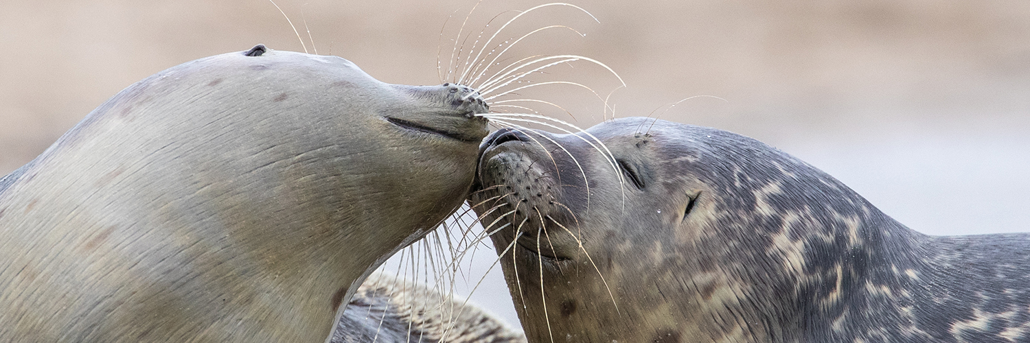 EcomareTexel's profile banner image