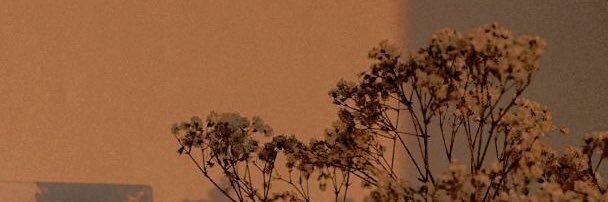 somsomknk's profile banner image