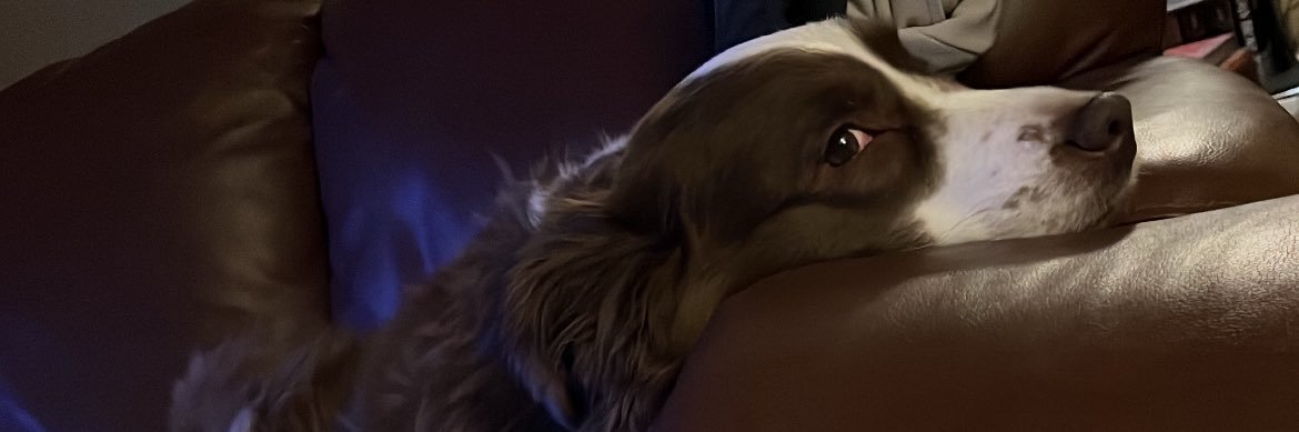 bluespncr's profile banner image