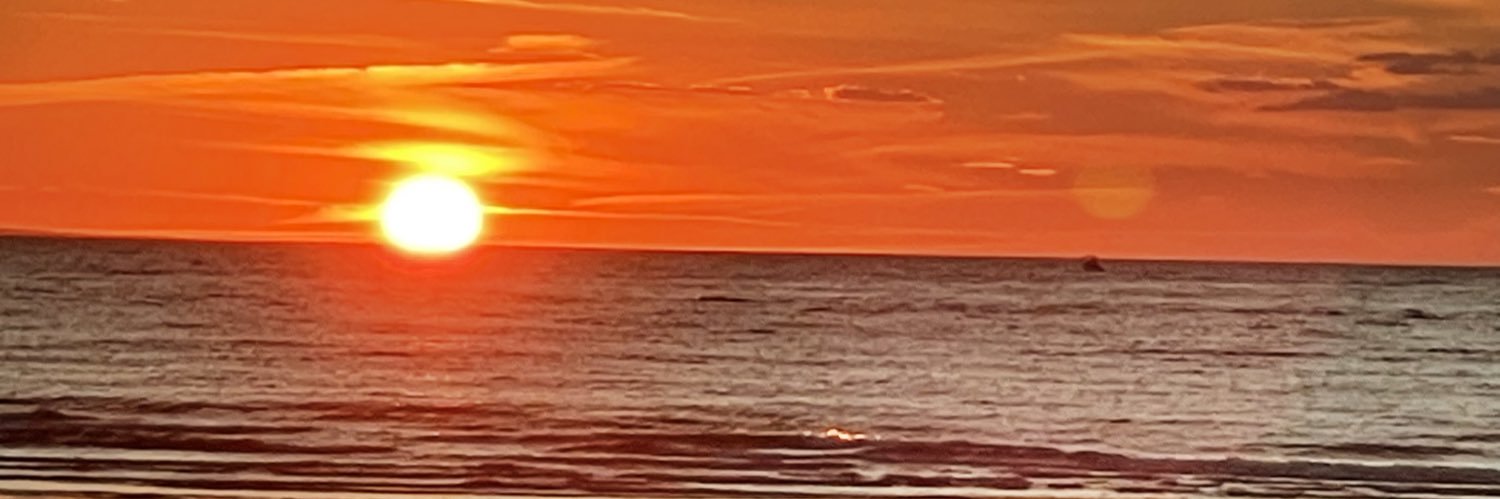 Colleen Ledley banner