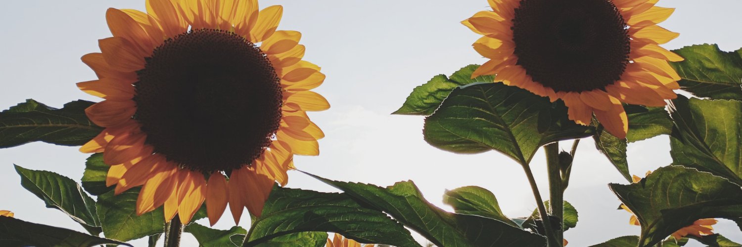 umma_mi3's profile banner image