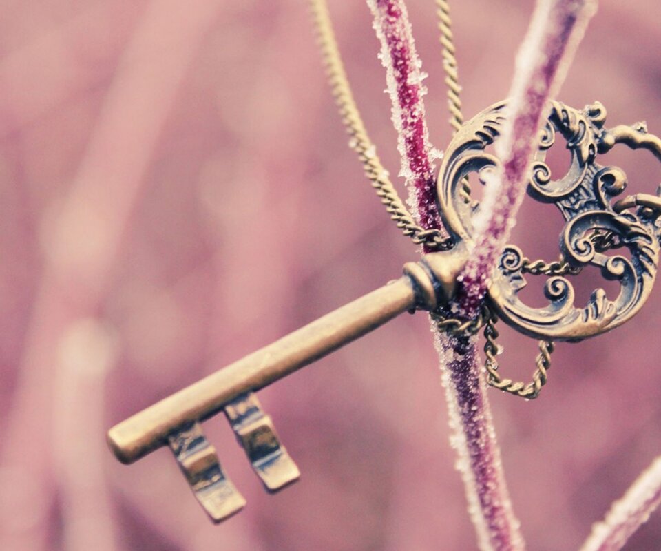 Iis_Lisna's profile banner image