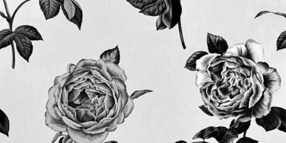 RockOfBenya's profile banner image