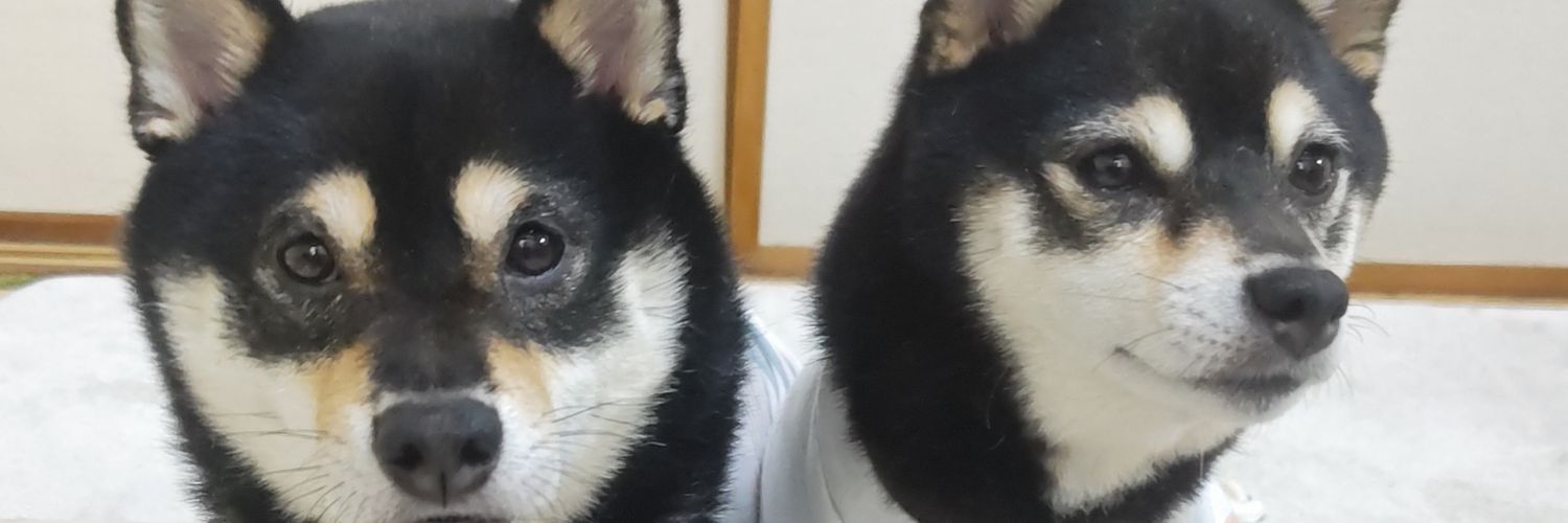 kosachinon's profile banner image
